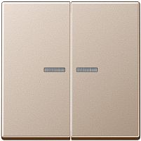 Лицевая панель Jung A creation для 2-кл. выключателя с подсветкой шампань картинка